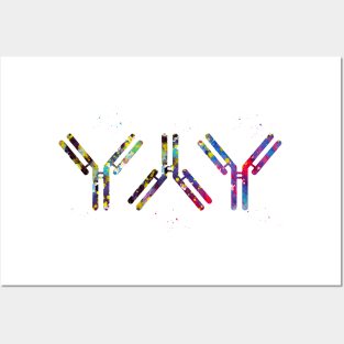 Antibody Posters and Art